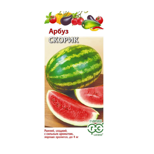 Арбуз Скорик  1гр_10