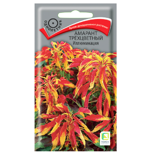 Амарант трехцветный Иллюминация  0_1гр_10
