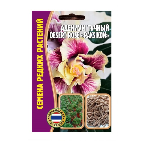 Адениум DesertRose Raksikon тучный  3шт_10