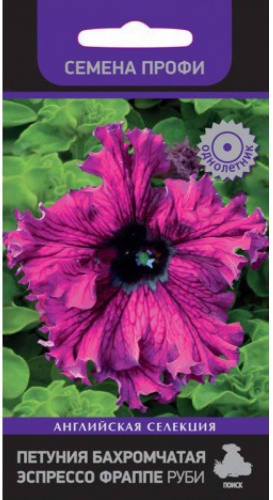 Петуния Эспрессо Фраппе Руби бахромчатая  10шт_10