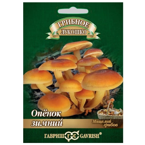 Грибы Опята зимние на древесной палочке  12шт_5_10