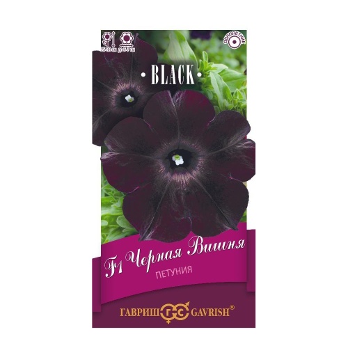 Петуния Черная вишня F1  4шт_10