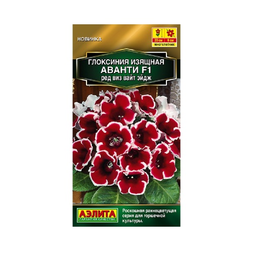 Глоксиния Аванти F1 ред виз вайт эйдж 5шт  _10