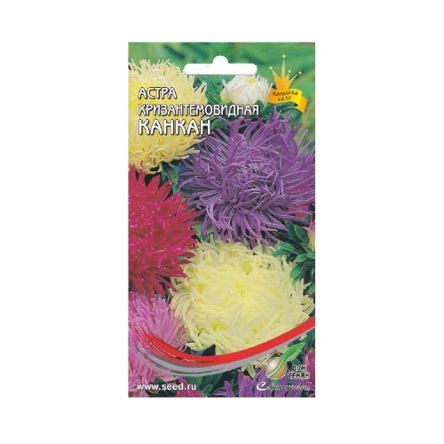 Астра Хризантемовидная Канкан смесь  100шт_10