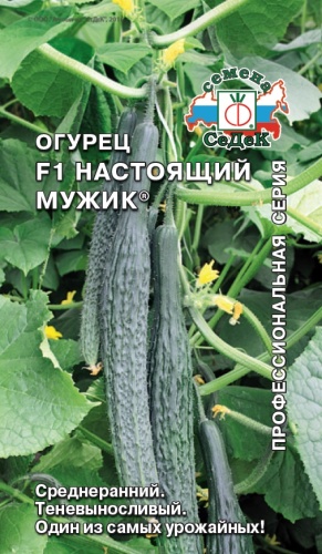 Огурец Настоящий мужик F1  0_2гр_10