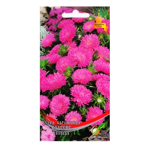 Астра Классик розовая 100 шт_10