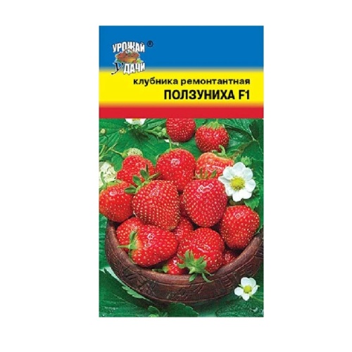 Клубника Ползуниха F1  5шт_10