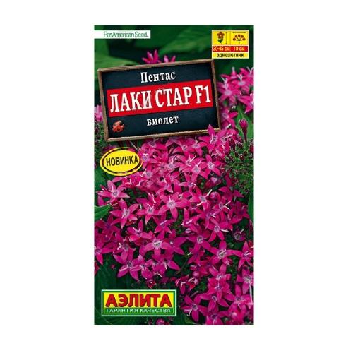 Пентас Лаки стар F1 Виолет  3шт_10