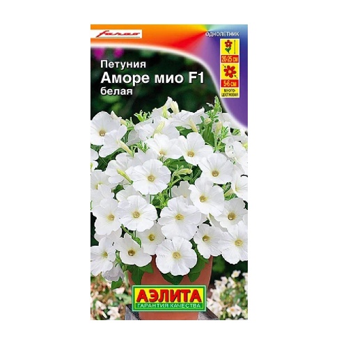 Петуния Аморе Мио белая F1 7шт  _10