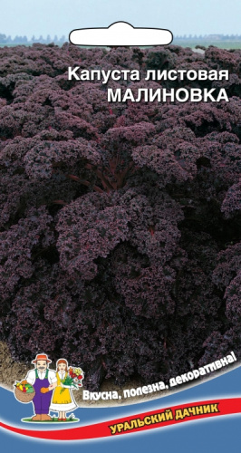 Капуста листовая Малиновка  0_1гр_10