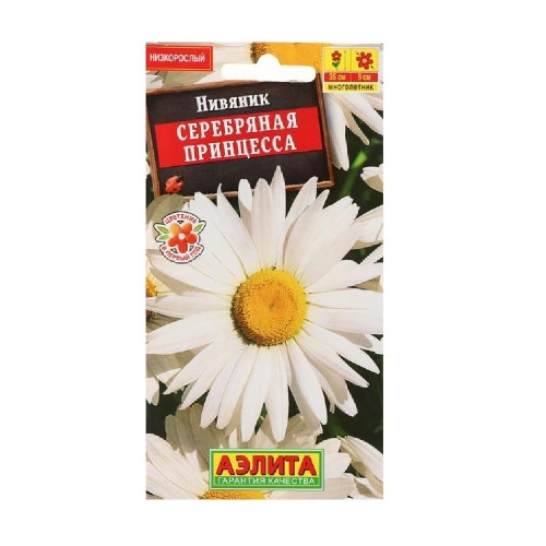 Нивяник Серебряная принцесса  0_2гр_10