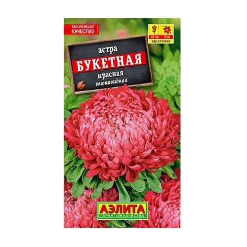 Астра Букетная красная  0_2гр_10