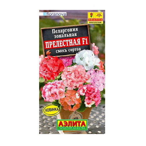 Пеларгония Прелестная F1 смесь сортов  5шт_10