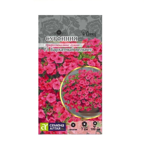 Сурфиния Бархатный Вельвет F1  5шт_10