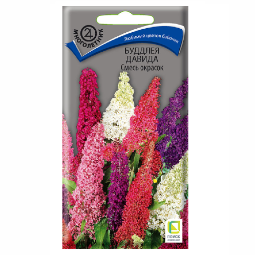 Буддлея Давида Смесь окрасок  10шт_10