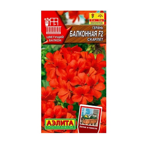 Герань Балконная скарлет F2 5шт_10