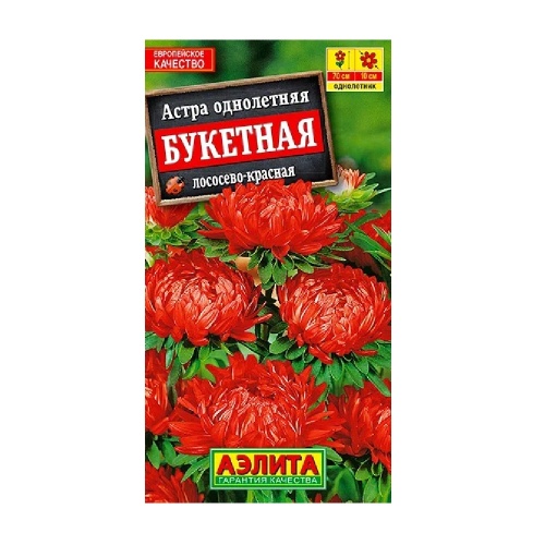 Астра Букетная лососево-красная  0_2гр_10