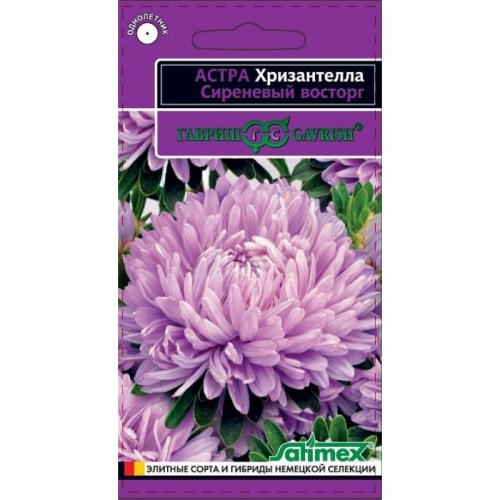 Астра Хризантелла Сиреневый восторг  0_05гр_10