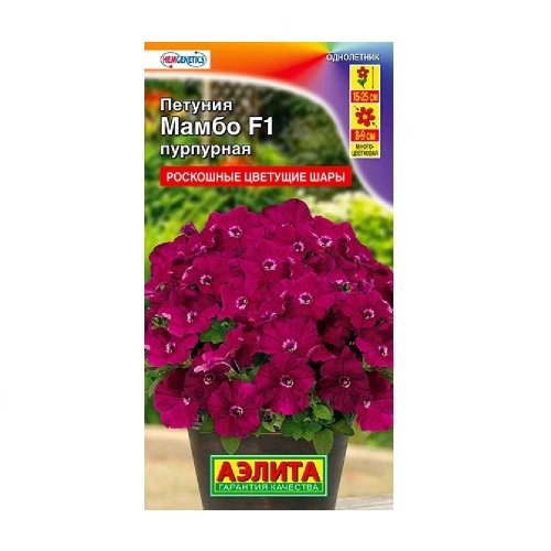 Петуния Мамбо F1 пурпурная многоцветковая  7шт _10