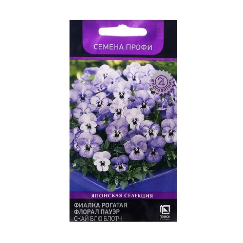 Фиалка Флорал Пауэр Скай Блю Блотч рогатая  10шт_10