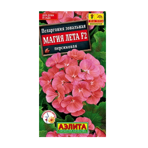 Пеларгония Магия лета персиковая 5шт _10