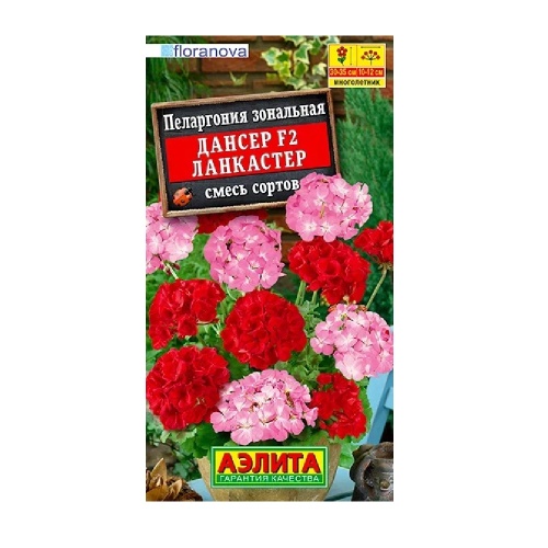 Пеларгония Дансер F2 Ланкастер смесь окрасок 5шт  _10