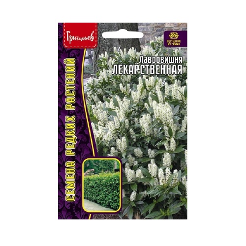 Лавровишня Лекарственная 3 шт. _10