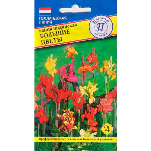 Канна индийская Большие цветы  3шт_10