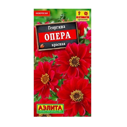 Георгина Опера красная 7 шт _10