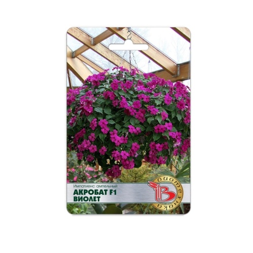 Импатиенс Акробат F1 Виолет ампельный  8шт_5_10
