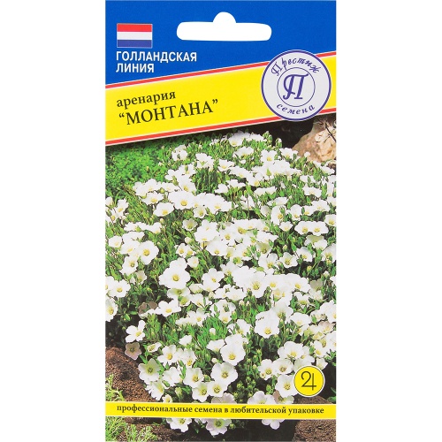 Аренария Монтана  5шт_10_50