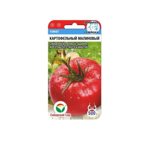 Томат Картофельный малиновый  20шт_10