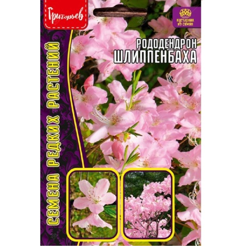 Рододендрон Шлиппенбаха  0_01гр_10