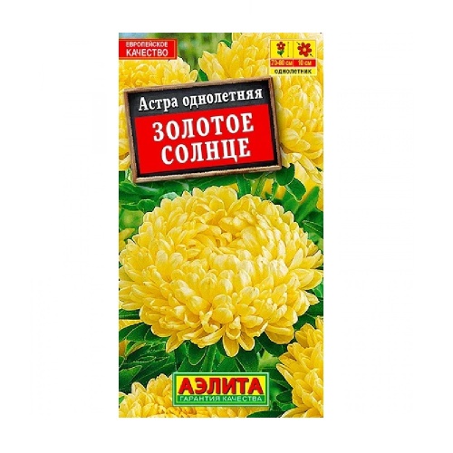Астра Золотое солнце  0_2гр_10