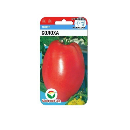 Томат Солоха  20шт_10