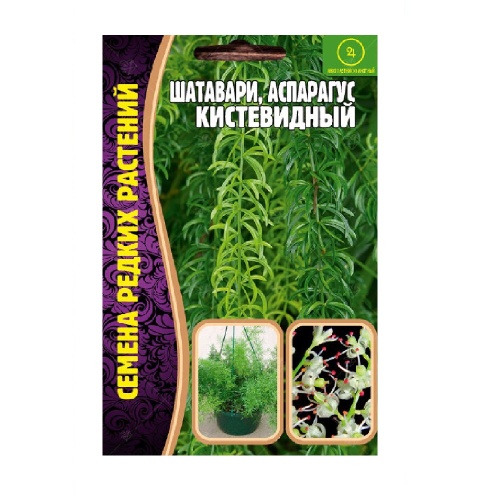 Шатавари (аспарагус) Кистевидный  7шт_10