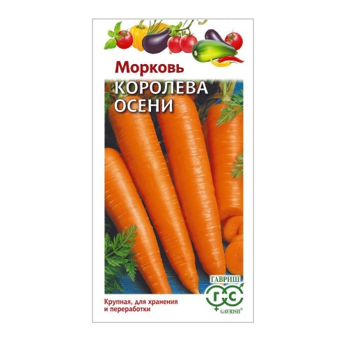 Морковь Королева Осени  2гр_10