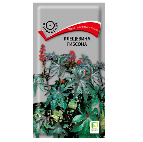 Клещевина Гибсона  2гр_10