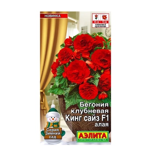 Бегония Кинг Сайз F1 алая клубневая 5шт_10