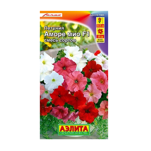 Петуния Аморе Мио смесь F1 5шт  _10