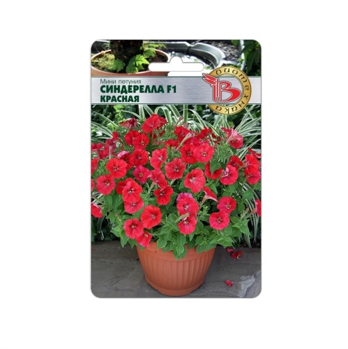 Петуния Синдерелла F1 красная мелкоцветковая  15шт_5_10