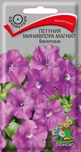 Петуния Магнит Фиолетовая минифлора 10шт_10