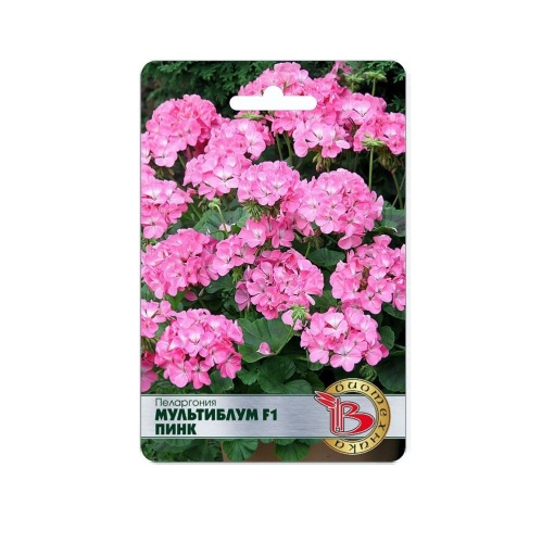 Пеларгония Мультиблум F1 Пинк  5шт_5_10