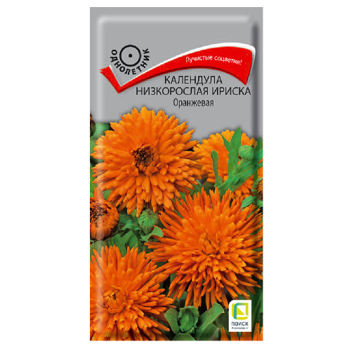 Календула Ириска Оранжевая низкорослая  10шт_10