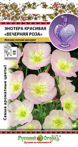 Энотера красивая Вечерняя Роза_Парфюм  210шт_10_200