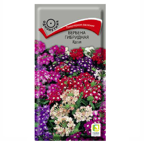 Вербена Идеал крупноцветковая  0_2гр_10