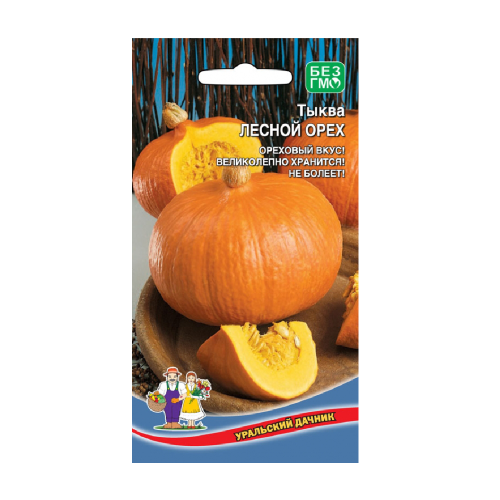 Тыква Лесной Орех  6шт_10