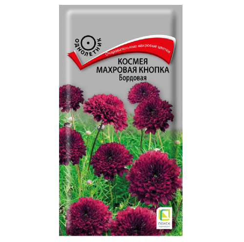 Космея Махровая кнопка Бордовая  0_1гр_10