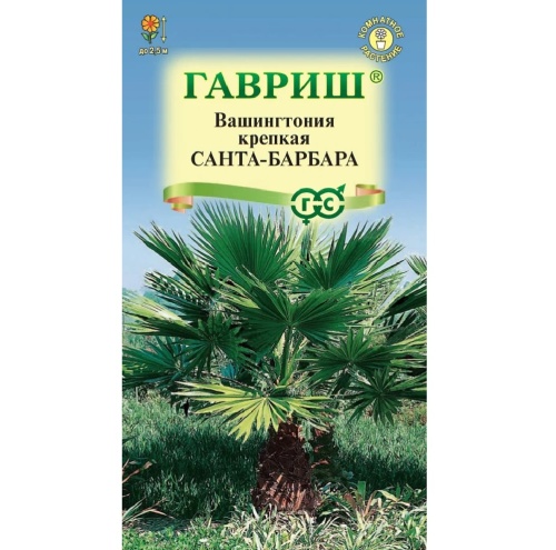 Вашингтония Робуста Санта-Барбара  3шт_10