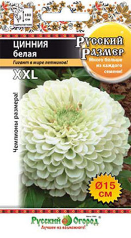 Цинния Русский размер Белая  10шт_10_100